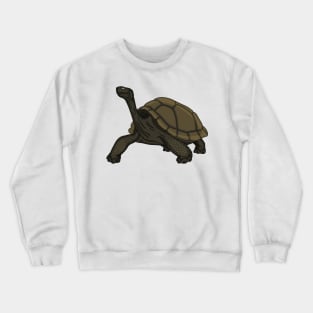 Galapagos land tortoise illustration Crewneck Sweatshirt